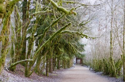 Cascade du Hérisson